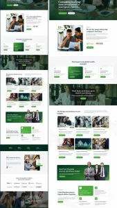 Consultant Website Design With Full Function 🥳